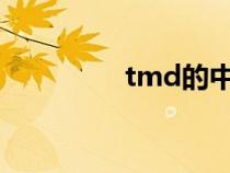tmd的中文翻译（TMD）