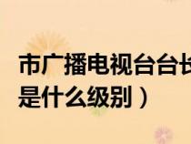 市广播电视台台长什么级别（中央电视台台长是什么级别）