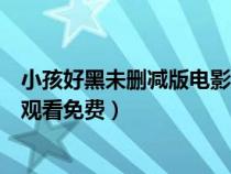 小孩好黑未删减版电影高清在线观看中文版（小孩好黑在线观看免费）