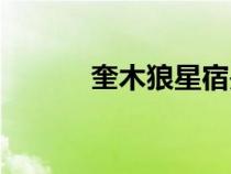 奎木狼星宿是凶是吉（奎木狼）