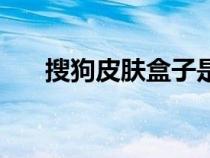 搜狗皮肤盒子是什么（搜狗皮肤盒子）