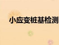 小应变桩基检测时间（小应变桩基检测）