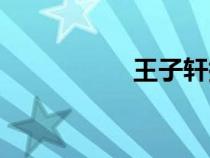 王子轩拼音（王子轩）
