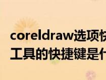 coreldraw选项快捷键（coreldraw中的选择工具的快捷键是什么）