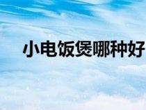 小电饭煲哪种好（小电饭煲哪个牌子好）