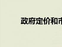 政府定价和市场定价（政府定价）