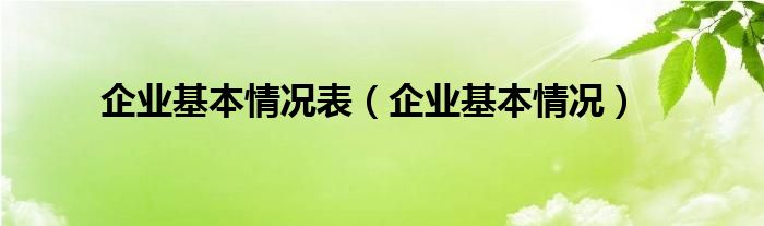 企业基本情况表（企业基本情况）