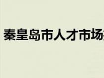 秦皇岛市人才市场招聘（秦皇岛市人才市场）