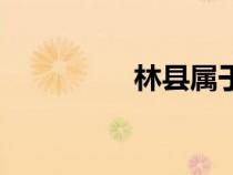 林县属于哪个市（林县）