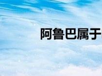 阿鲁巴属于哪个国家（阿鲁巴）