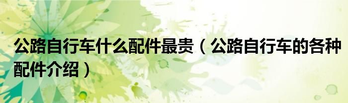 公路自行车什么配件最贵（公路自行车的各种配件介绍）