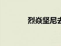 烈焱坚尼去哪了（烈焱坚尼）