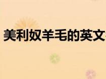 美利奴羊毛的英文名称是什么（美利奴羊毛）