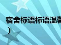 宿舍标语标语温馨寝室美（宿舍标语标语温馨）
