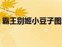 霸王别姬小豆子图片（霸王别姬小豆子剧照）