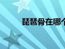 琵琶骨在哪个位置图解（琵琶骨）