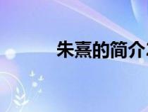 朱熹的简介20字（朱熹的简介）