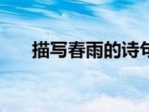 描写春雨的诗句唯美（描写春雨的诗）