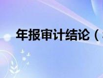 年报审计结论（年度财务审计报告模板）