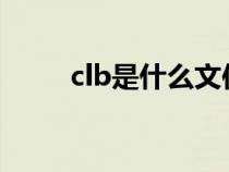 clb是什么文件（clbt是什么软件）