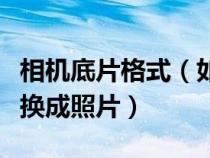 相机底片格式（如何用数码相机将普通底片转换成照片）
