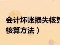 会计坏账损失核算方法有哪些（会计坏账损失核算方法）