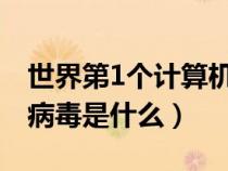世界第1个计算机病毒是（世界第一个计算机病毒是什么）
