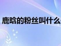 鹿晗的粉丝叫什么作文（鹿晗的粉丝叫什么）