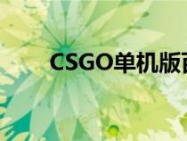 CSGO单机版百度云（csgo单机版）