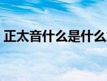 正太音什么是什么意思啊（正太音什么意思）