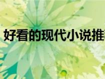 好看的现代小说推荐甜宠（好看的现代小说）
