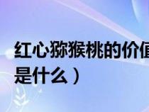 红心猕猴桃的价值和作用（红心猕猴桃的好处是什么）