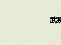 武痴林（武痴）