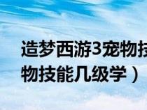 造梦西游3宠物技能学什么好（造梦西游3宠物技能几级学）