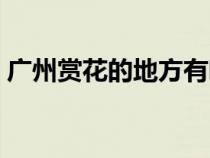 广州赏花的地方有哪些（广州花都哪里好玩）