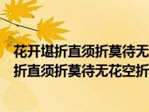 花开堪折直须折莫待无花空折枝说明什么的重要性（花开堪折直须折莫待无花空折枝）