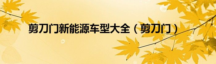 剪刀门新能源车型大全（剪刀门）