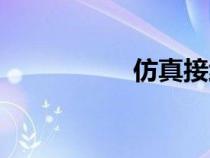 仿真接线器（接线器）