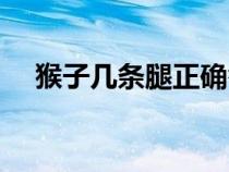 猴子几条腿正确答案图片（猴子几条腿）