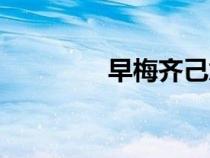 早梅齐己意思（早梅齐己）