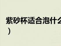 紫砂杯适合泡什么茶喝（紫砂杯适合泡什么茶）