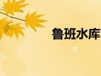 鲁班水库面积（鲁班水库）