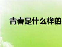 青春是什么样的年纪（青春是什么样的）