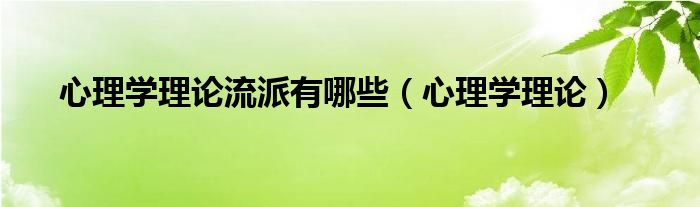 心理学理论流派有哪些（心理学理论）