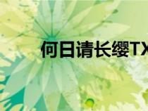 何日请长缨TXT下载（何日请长缨）