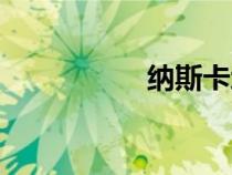 纳斯卡地画（纳斯卡）