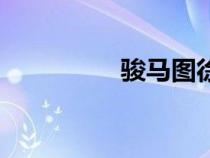 骏马图徐悲鸿（骏马图）