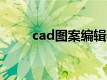 cad图案编辑器（acd图片编辑器）