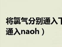 将氯气分别通入下列溶液中（某温度下将氯气通入naoh）