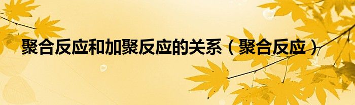聚合反应和加聚反应的关系（聚合反应）